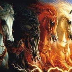 Meet your Posher, Steven